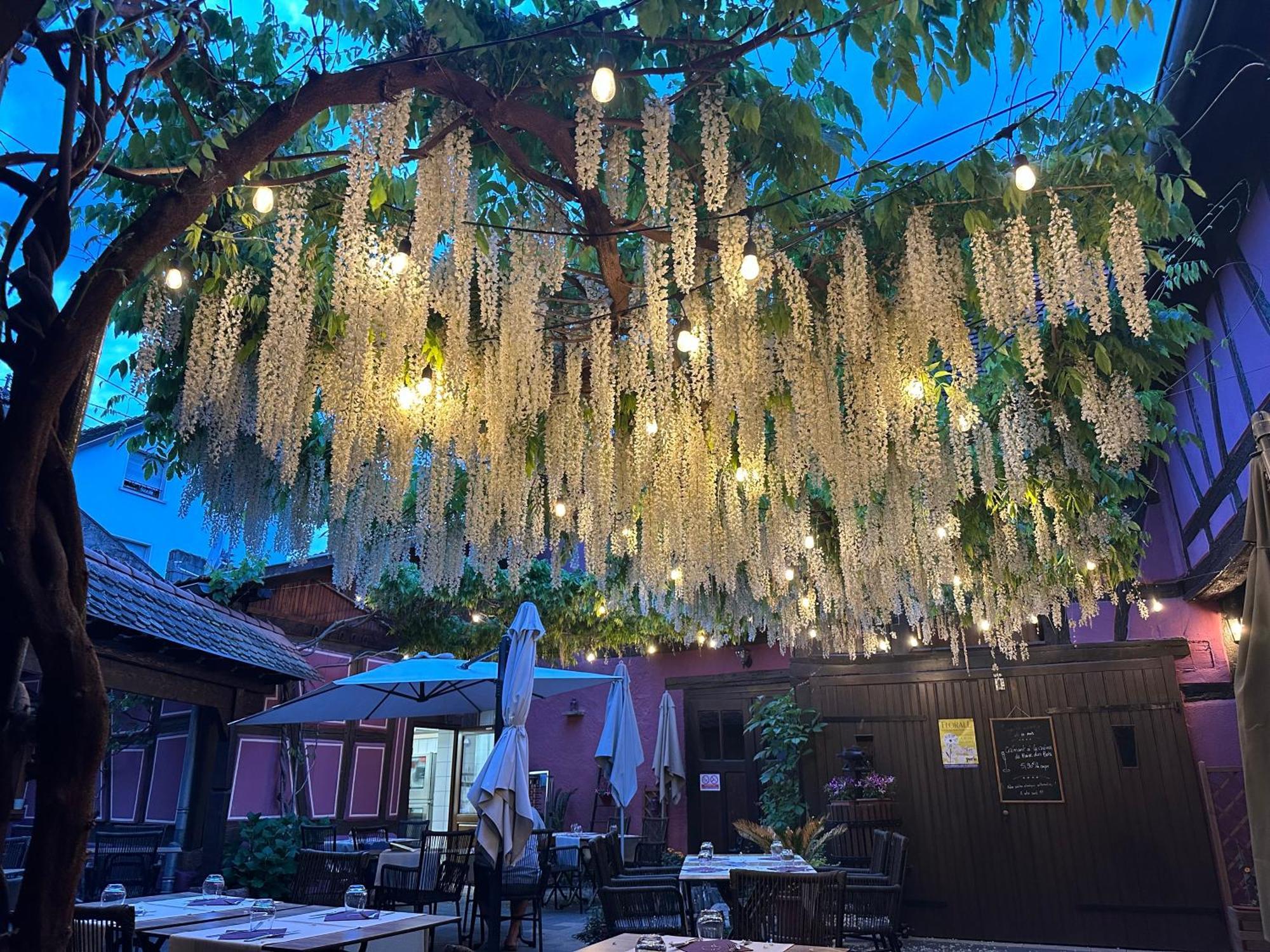 Auberge Le Meisenberg Châtenois Dış mekan fotoğraf