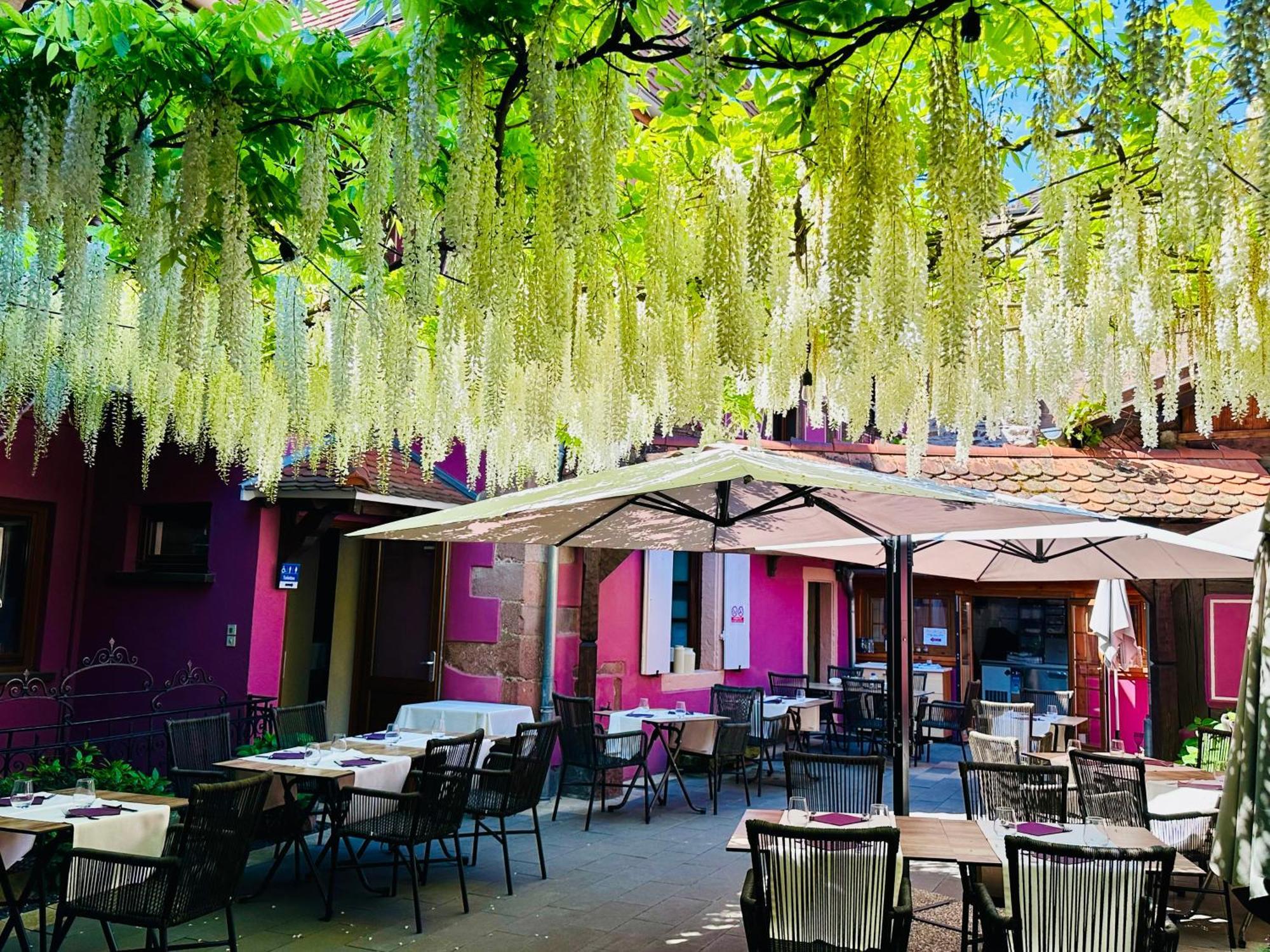 Auberge Le Meisenberg Châtenois Dış mekan fotoğraf