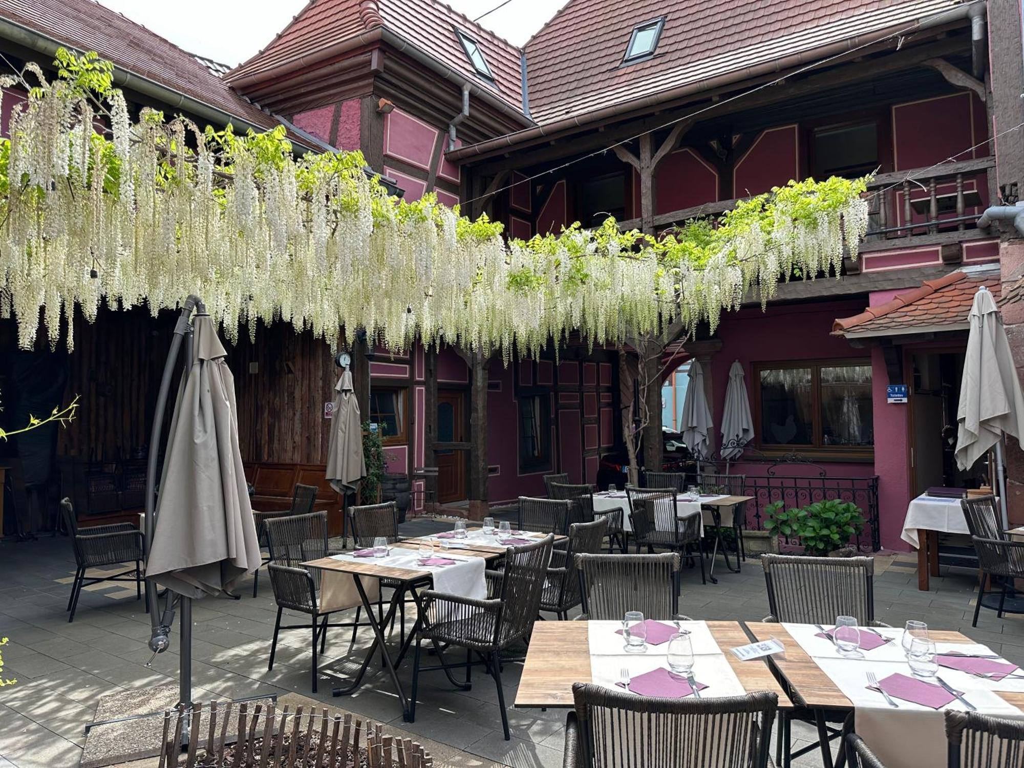 Auberge Le Meisenberg Châtenois Dış mekan fotoğraf