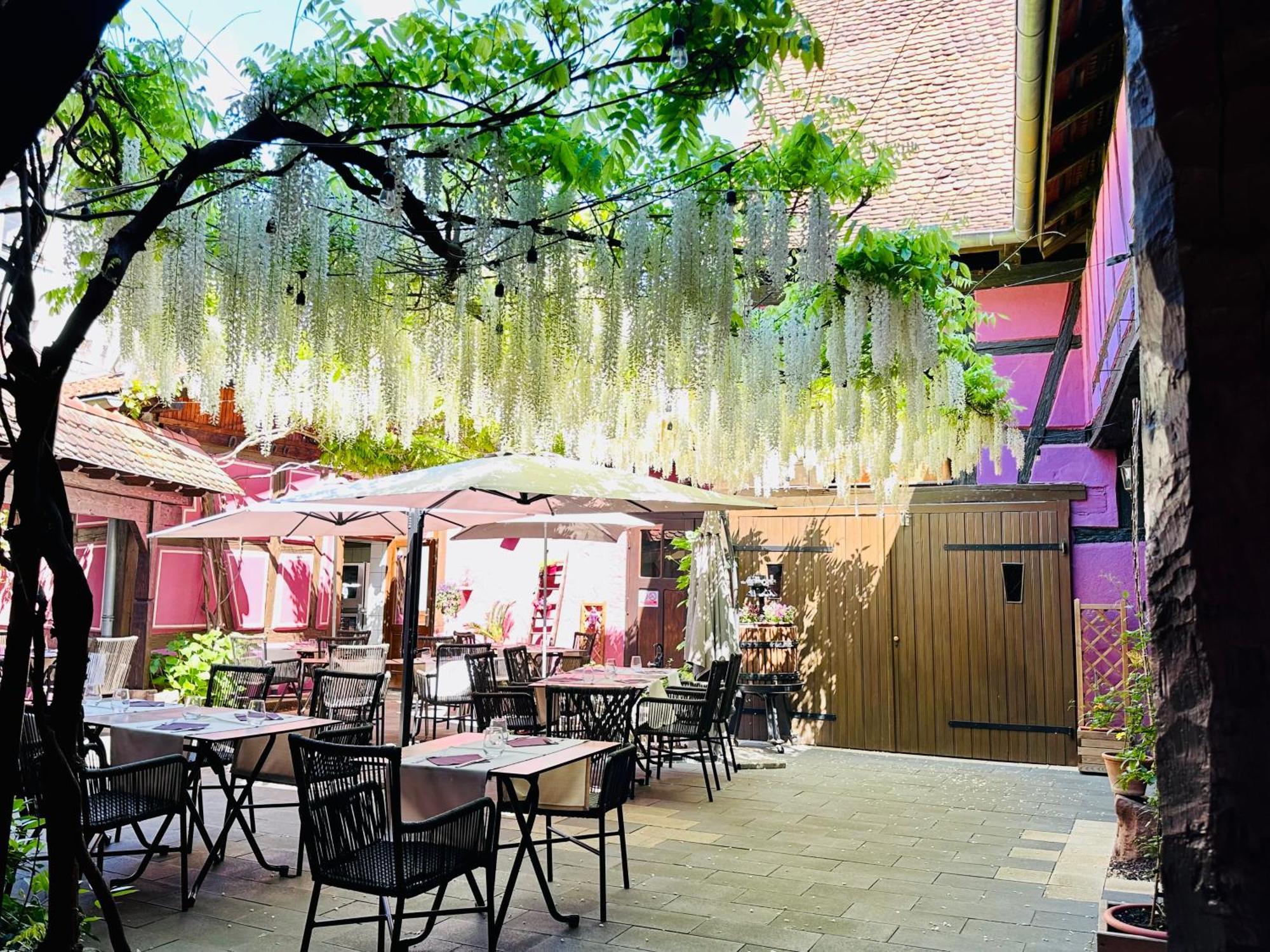 Auberge Le Meisenberg Châtenois Dış mekan fotoğraf